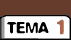 Tema 1